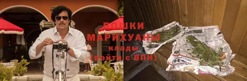 Шишки марихуана план  как найти наркотики  Аткарск 